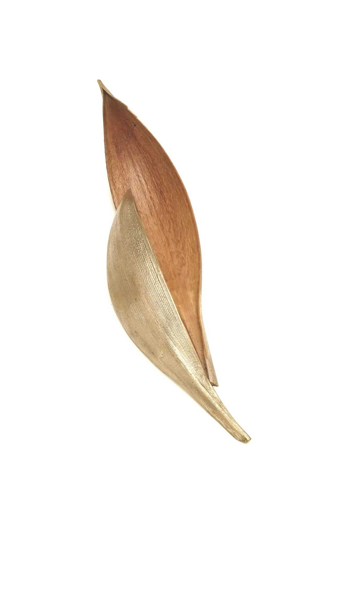 Capa coco natural e bronze